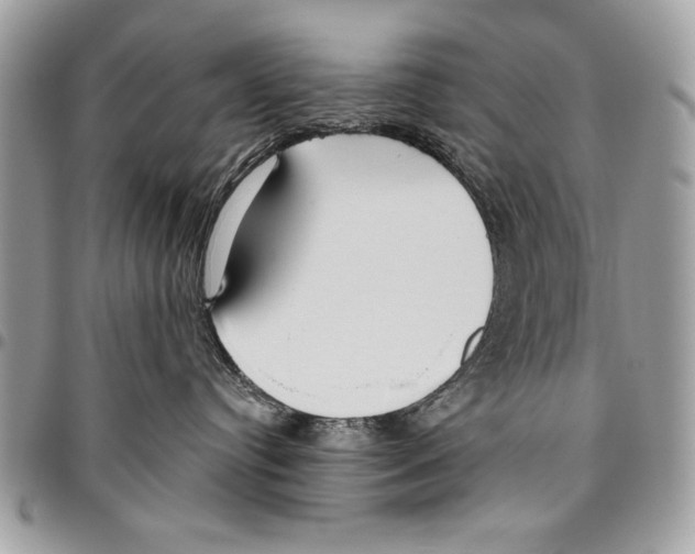 X0000095880384200802081101