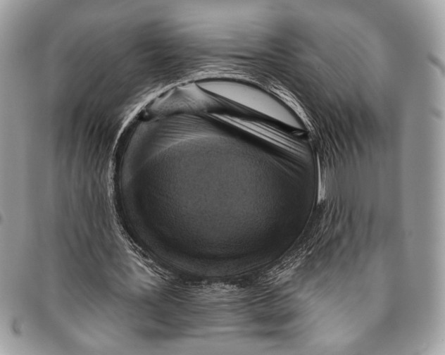 X0000095880387200802081100