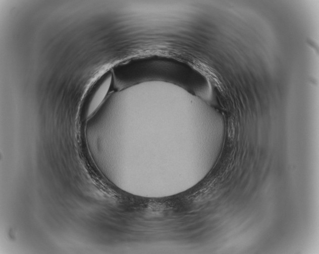 X0000095880388200802081100