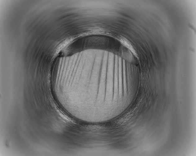 X0000095880389200802081100