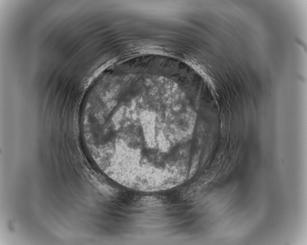 X0000095880390200802081100