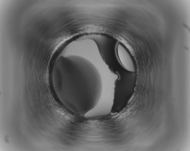 X0000095880391200802081100