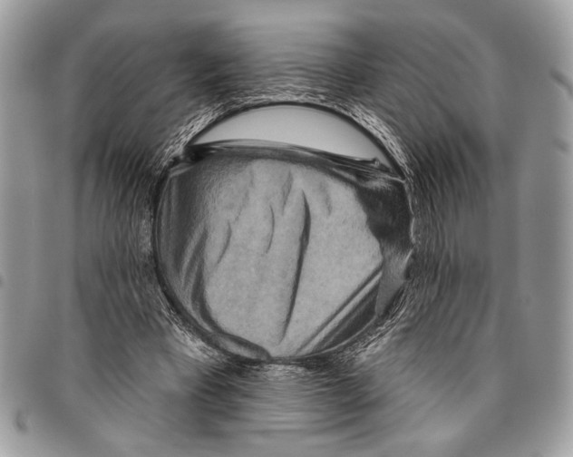 X0000095880393200802081100