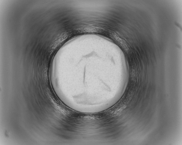 X0000095880394200802081100