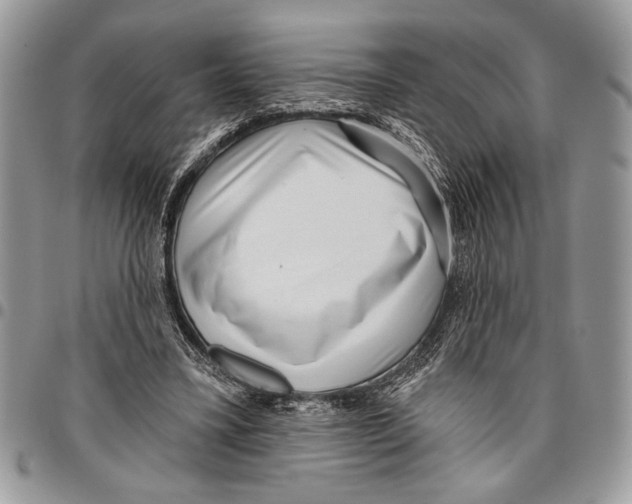 X0000095880395200802081100