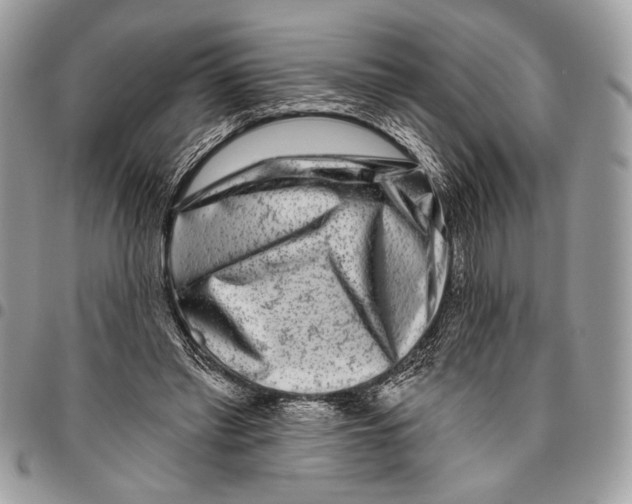 X0000095880397200802081100