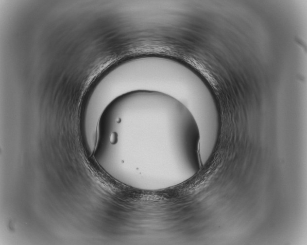 X0000095880399200802081100