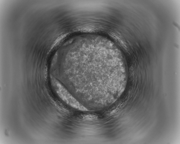 X0000095880400200802081100