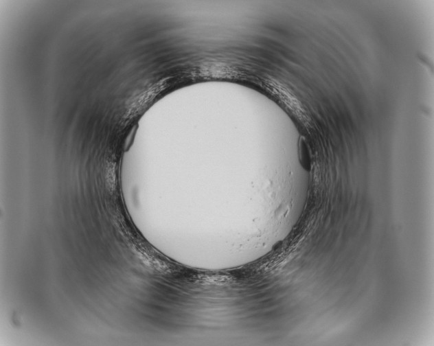 X0000095880401200802081100