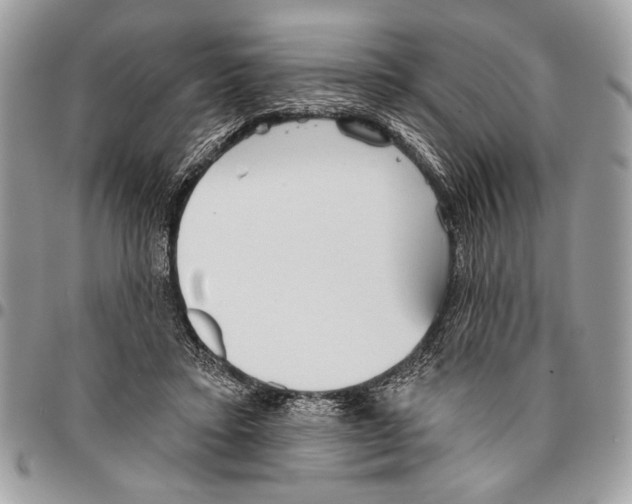 X0000095880403200802081100