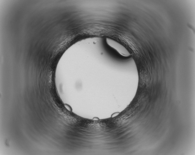 X0000095880404200802081100