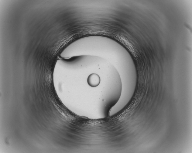 X0000095880405200802081100