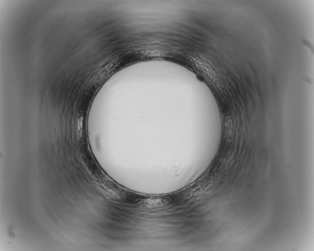 X0000095880406200802081100