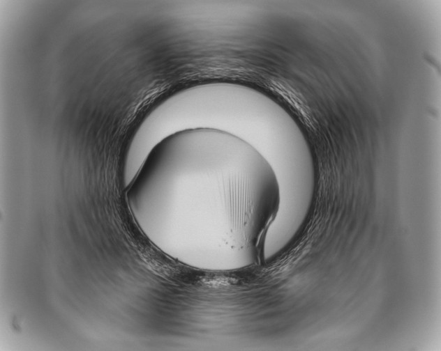 X0000095880407200802081100