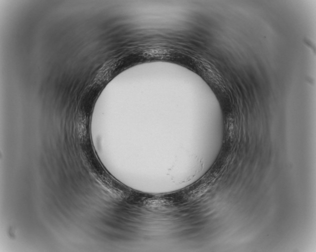 X0000095880408200802081100