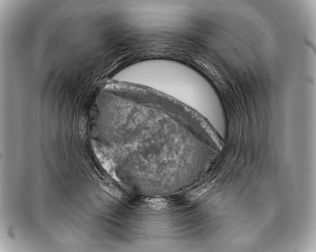 X0000095880409200802081100