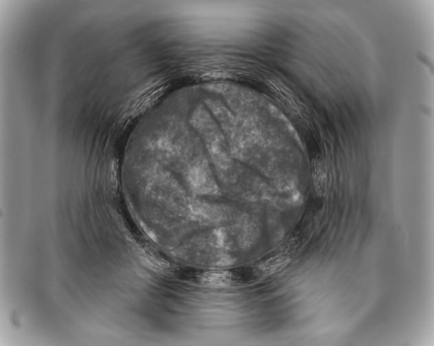 X0000095880410200802081100