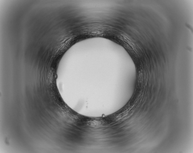 X0000095880412200802081059