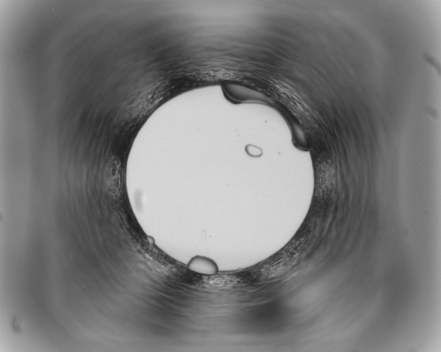 X0000095880414200802081059