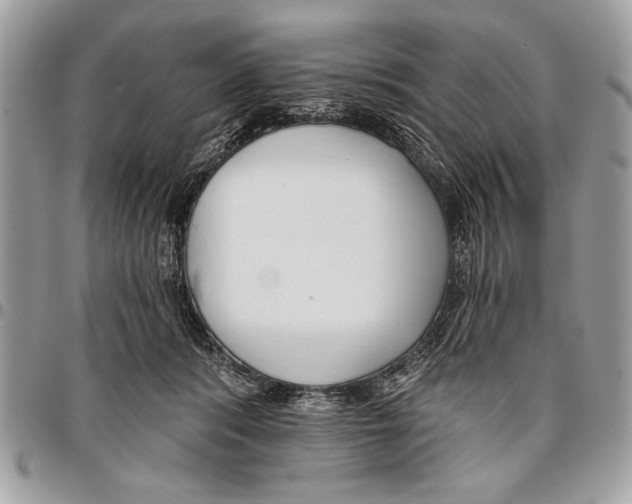 X0000095880416200802081059