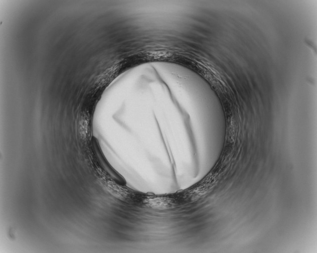 X0000095880417200802081059