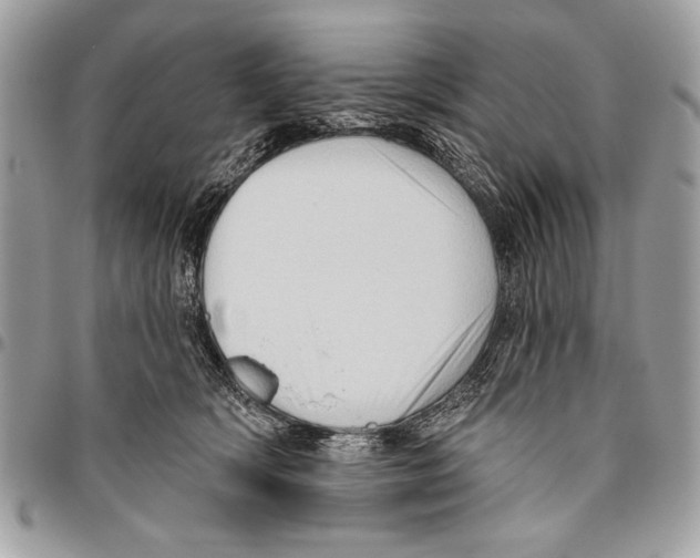 X0000095880418200802081059