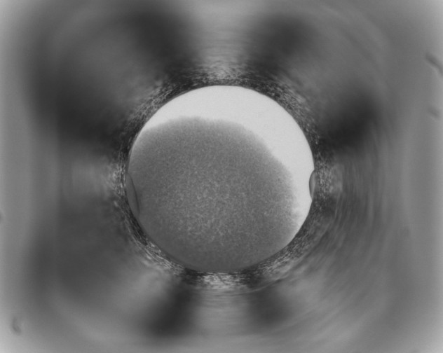 X0000095880419200802081059