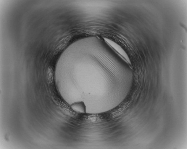 X0000095880420200802081059