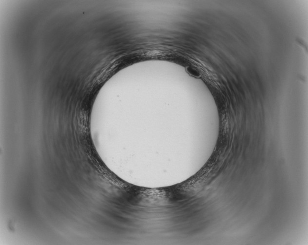 X0000095880421200802081059