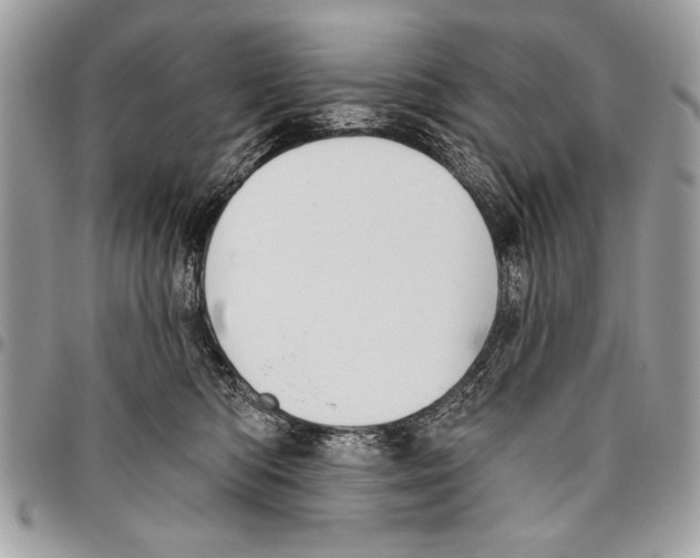 X0000095880422200802081059