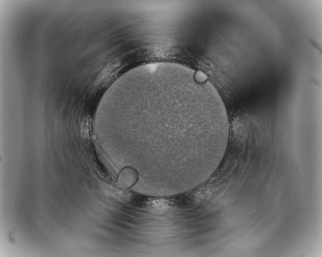 X0000095880423200802081059