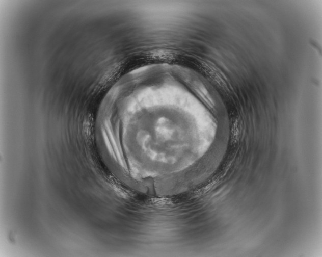 X0000095880424200802081059