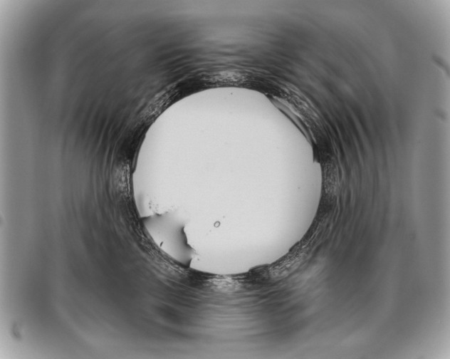 X0000095880425200802081059