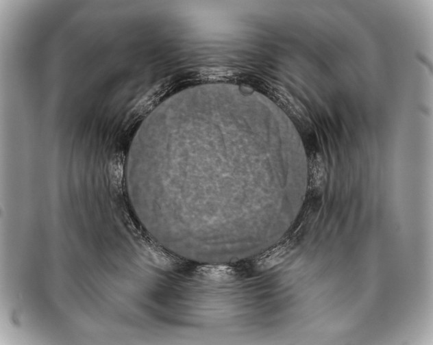 X0000095880427200802081059