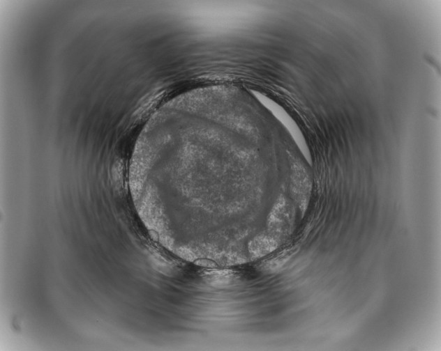 X0000095880428200802081059