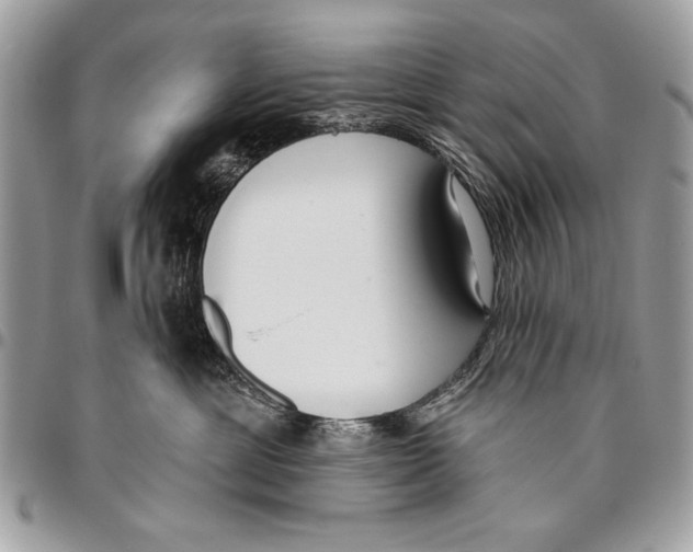 X0000095880429200802081059