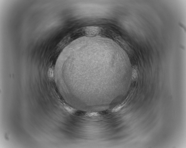 X0000095880431200802081059