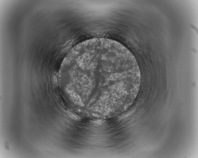 X0000095880432200802081059