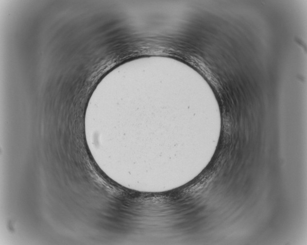 X0000095880433200802081058