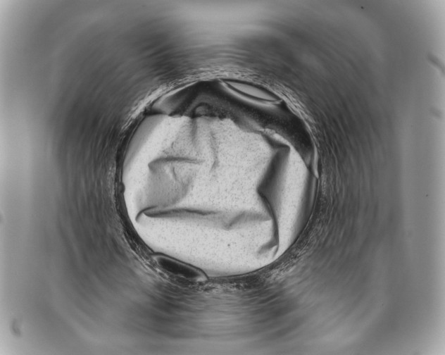 X0000095880434200802081058