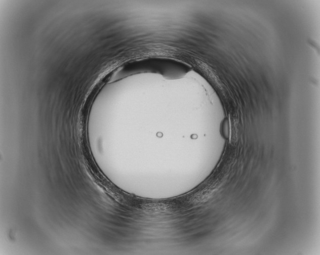 X0000095880435200802081058