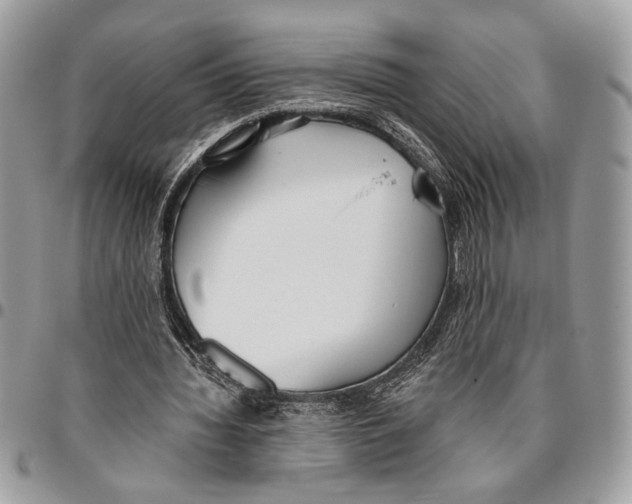 X0000095880436200802081058