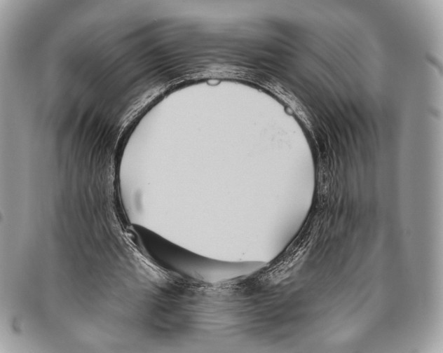 X0000095880437200802081058