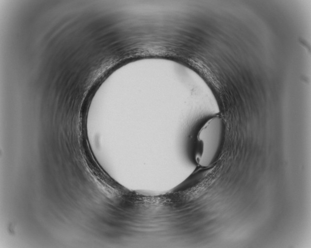 X0000095880439200802081058