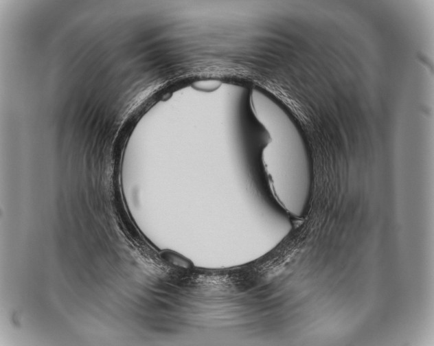 X0000095880440200802081058