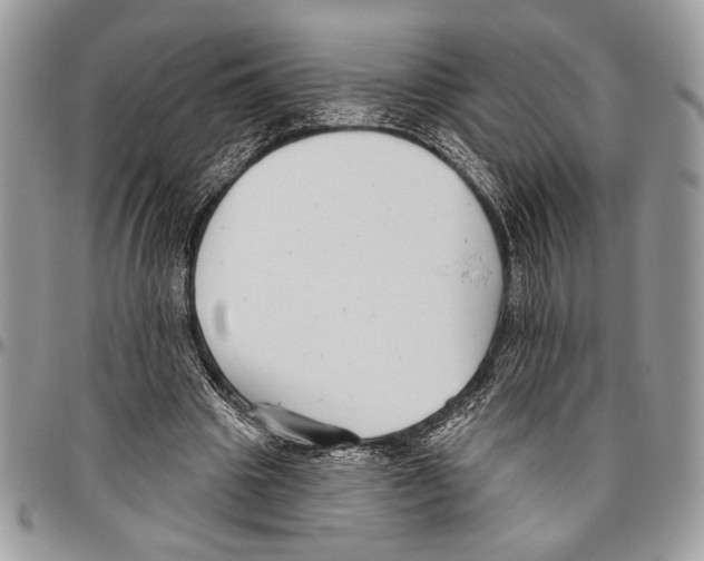 X0000095880441200802081058