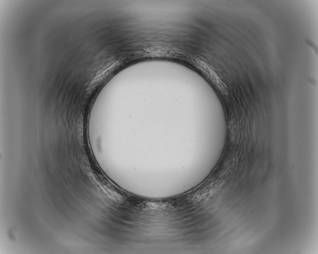 X0000095880442200802081059