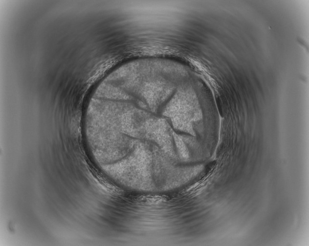 X0000095880443200802081059