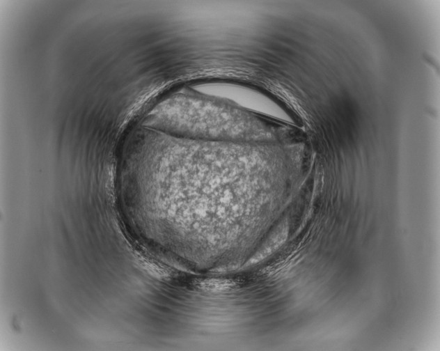 X0000095880444200802081059