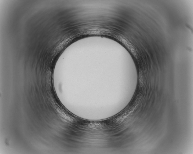 X0000095880445200802081059